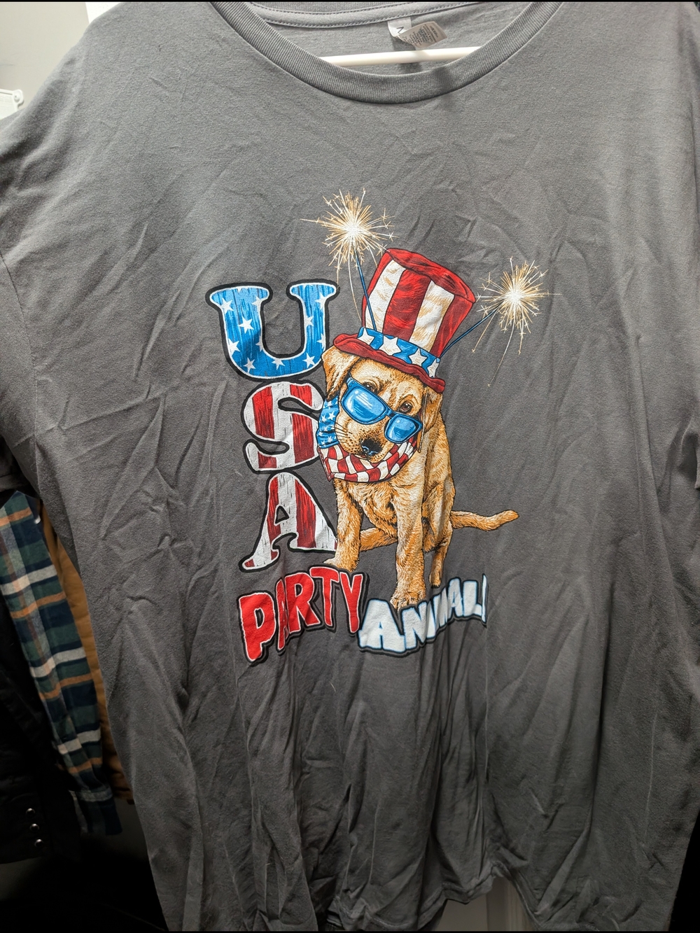 Patriotic Dog Graphic Tee - Gray